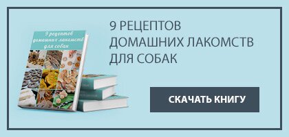 Рецепты домашних лакомств для собак