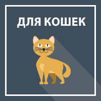 Товары для кошек и котят